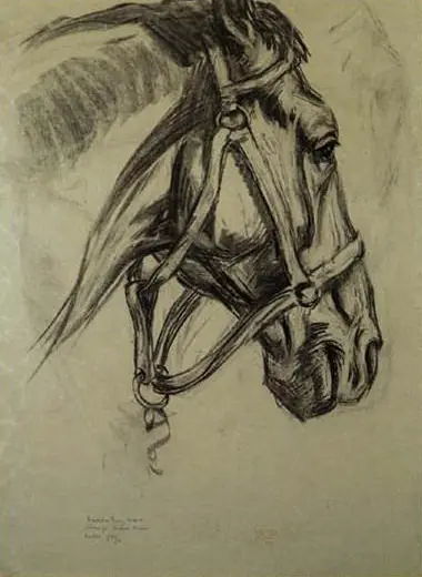 Kopf des Pferdes (Head of the Horse) Franz Marc